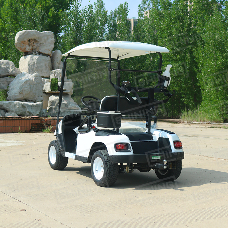 Shininglsv Cart Enclosure Rain Curtain Utility Car Mini 2 Seater Golf Cart