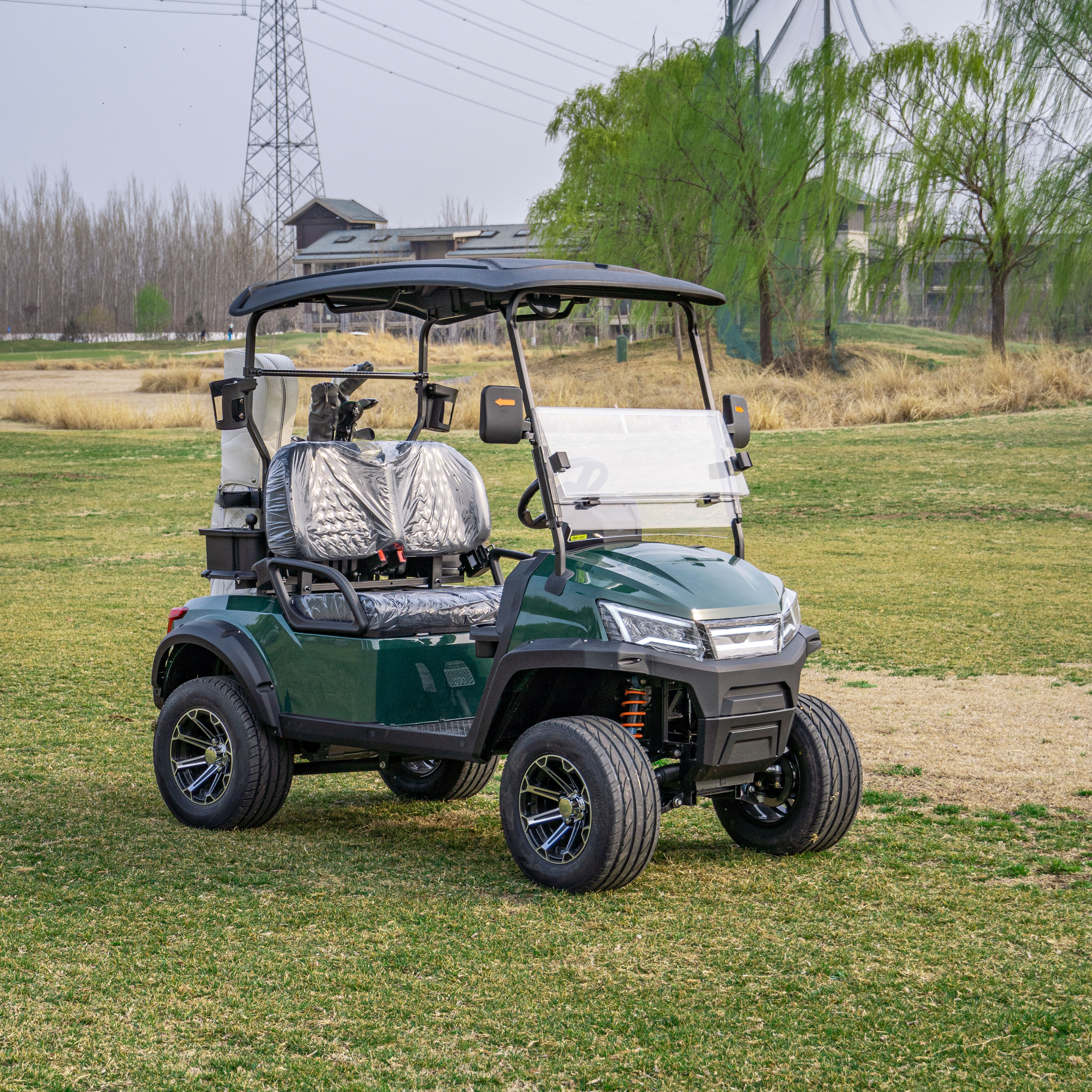 Wholesale Cheap Price Electric Golf Cart 2 Seater Custom Color Logo Electric Golf Cart for Tourist Attraction Campus Park