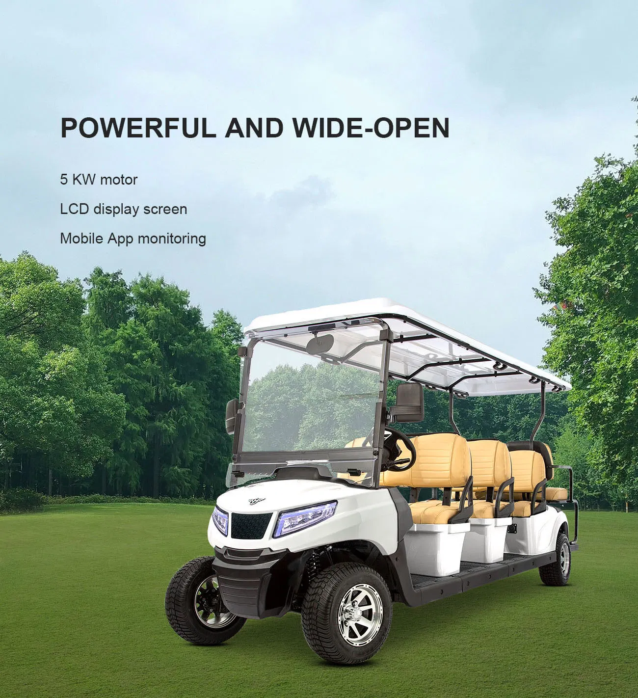 Street Legal 6+2 Seats Electric Golf Cart for Community Transportation