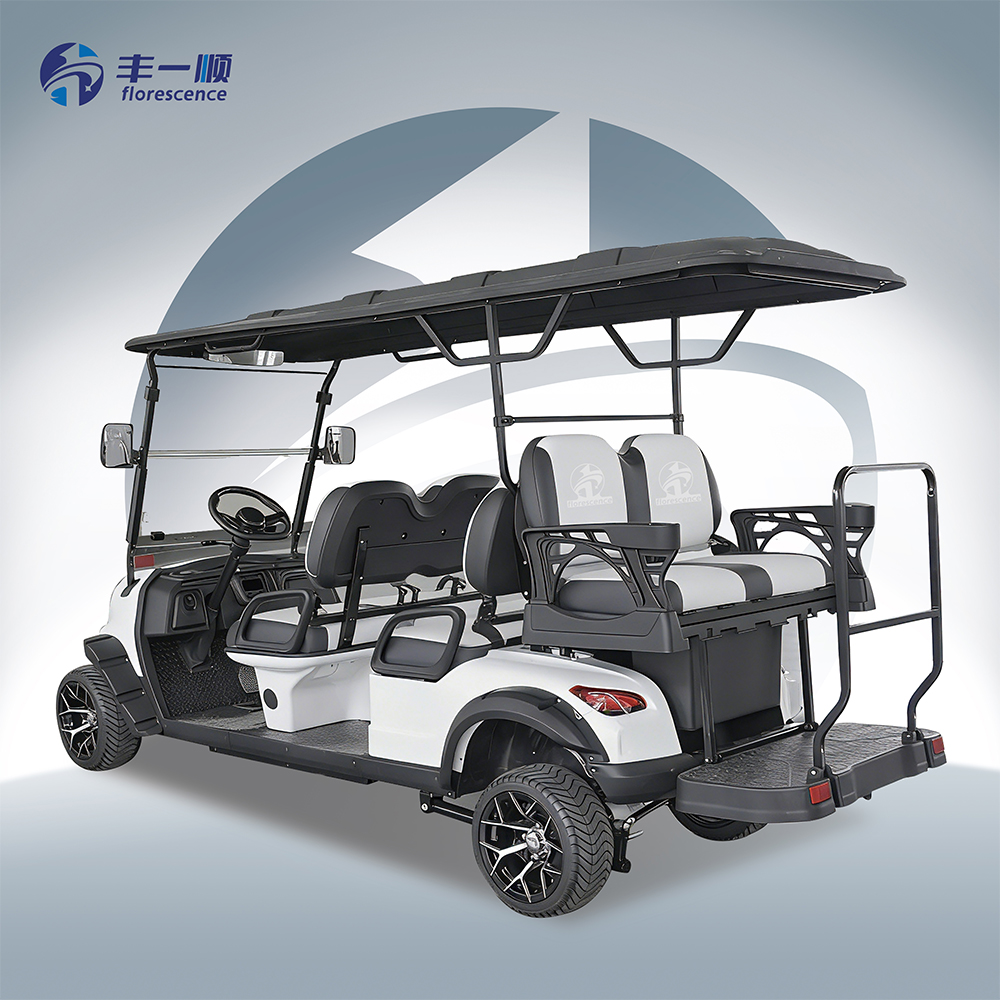48V-72V Off-Road Pink Lithium Battery 6-Seater Electric Golf Cart with CE for Large Resort Facilities