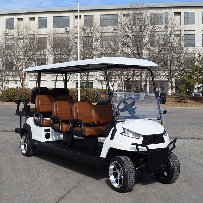 Electric vehicle overview