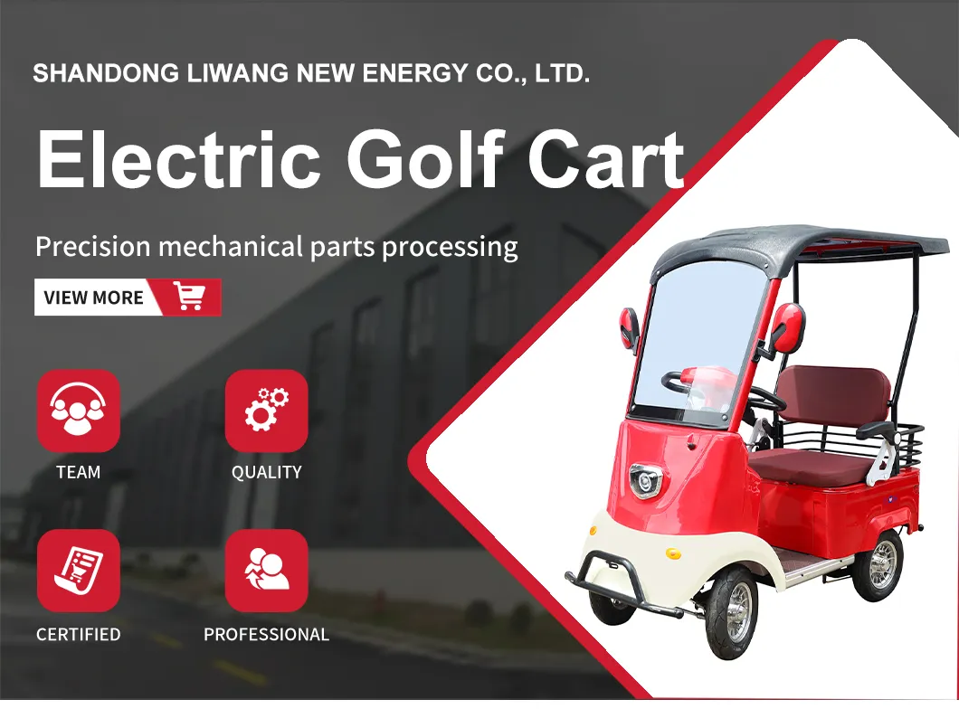 Electric Golf Cart View