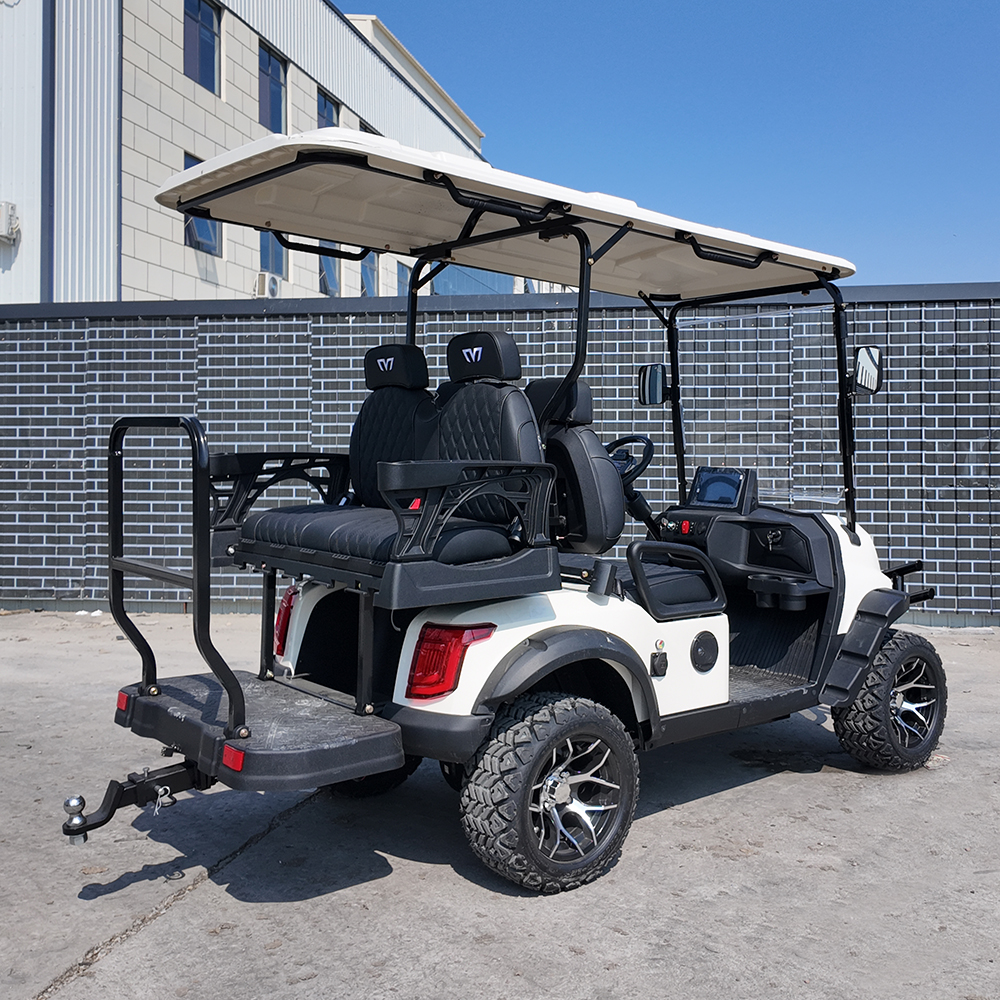 Multifunctional Golf Cart Ideal for Property Patrol and Campus Trave