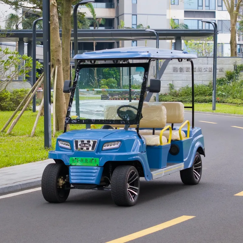 Golf Cart Rear