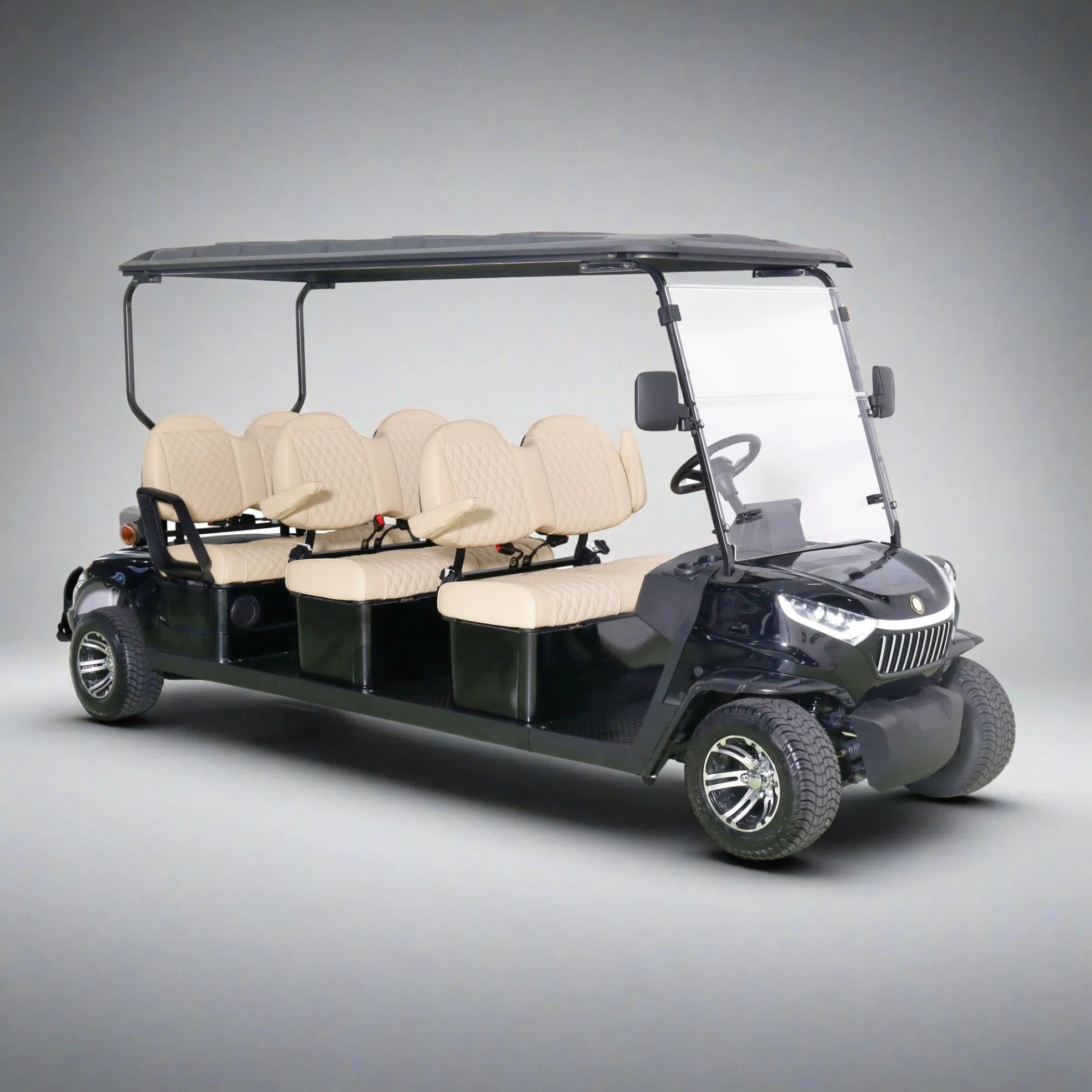 Eco-Friendly 6 Passenger Golf Cart for Resort, Park, and Community Use