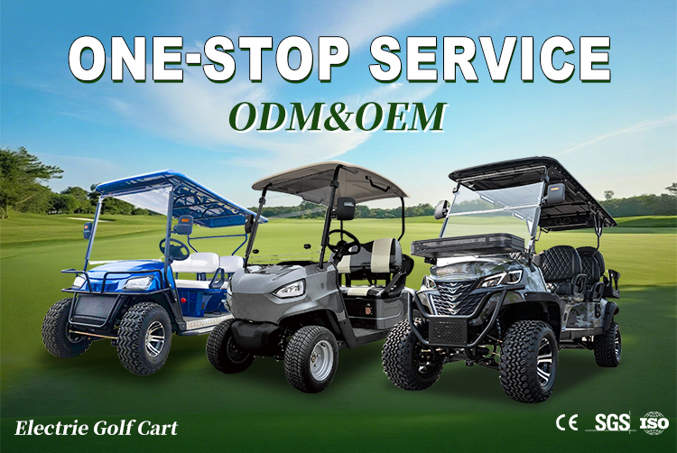 Luxury Golf Cart