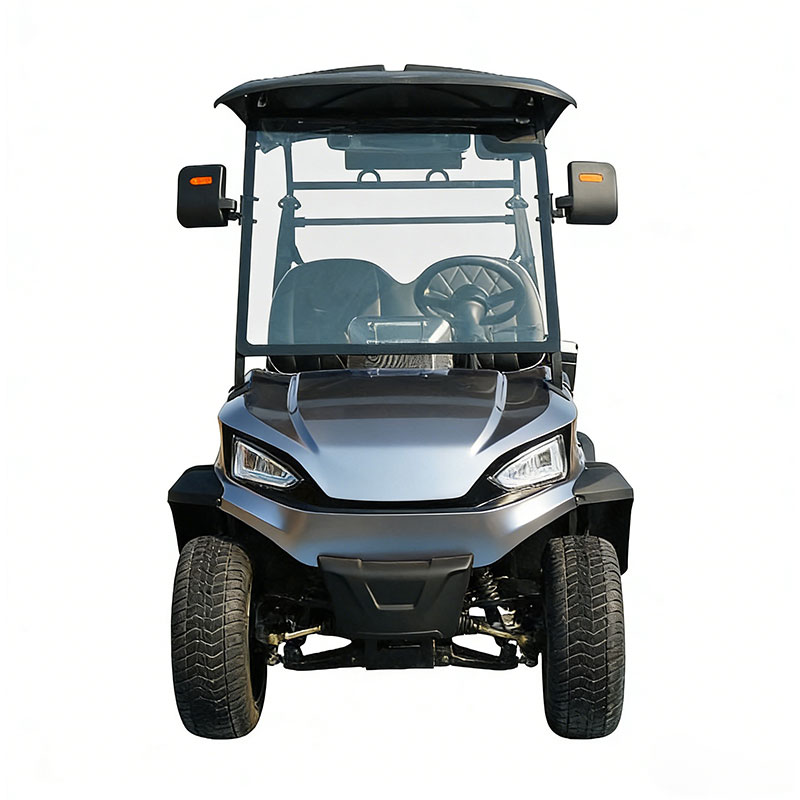 Eco Friendly 2 Seater Electric Golf Cart Manufacture for Campus and Resort Use