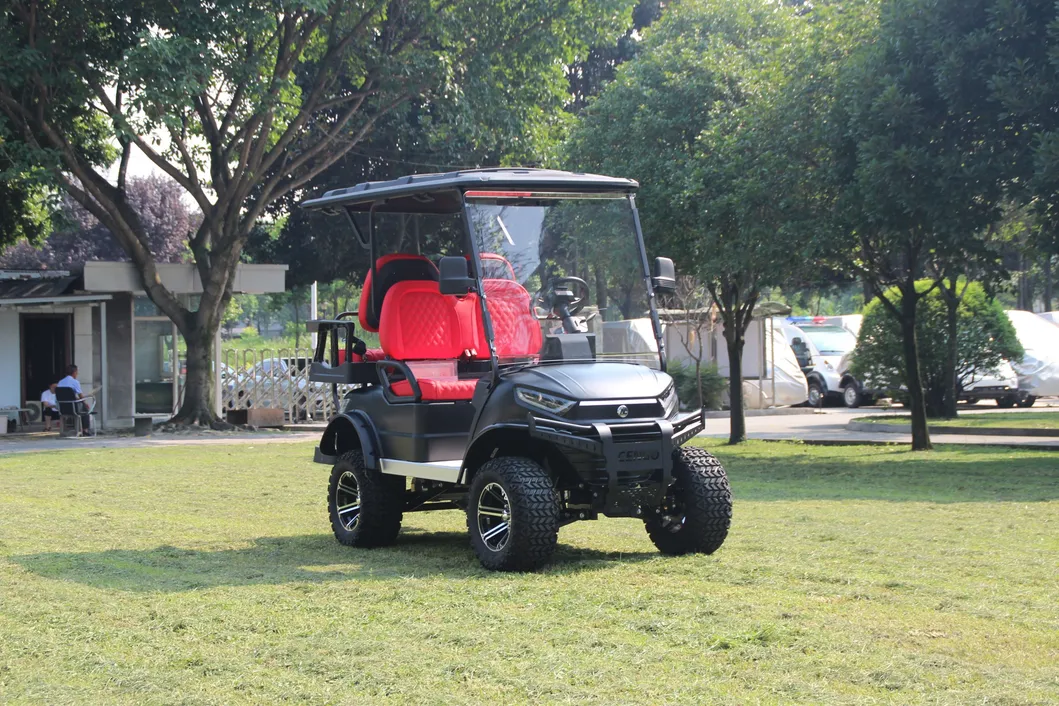 Vehicle View 1