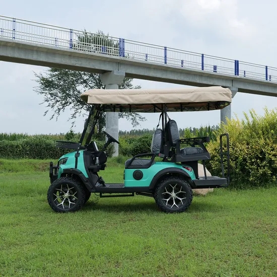 New customizable Chinese-made electric golf cart