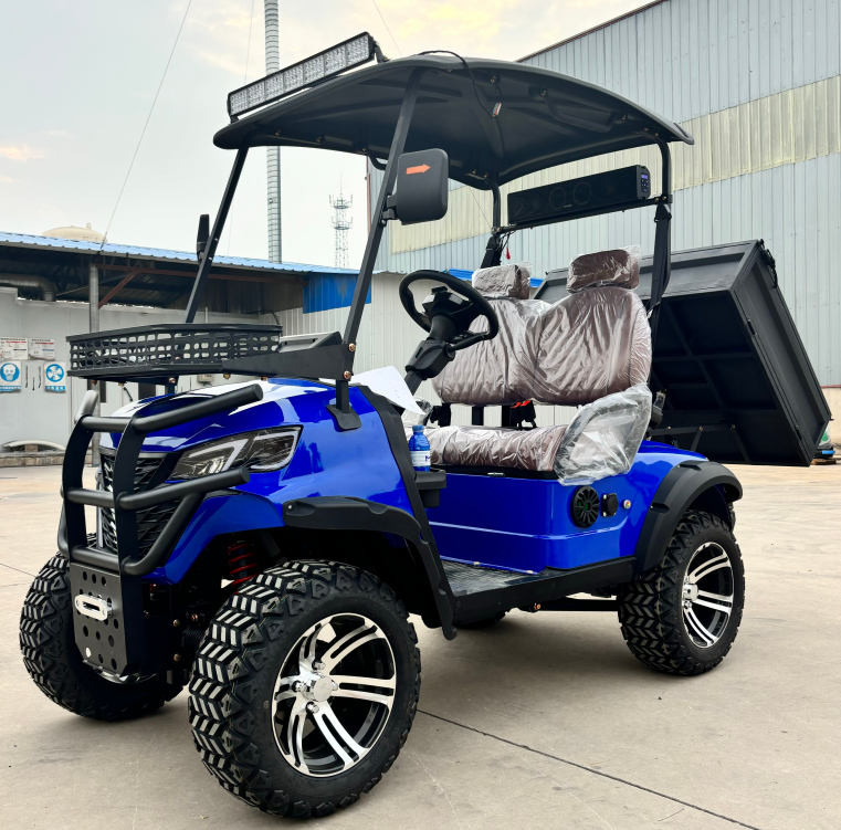 Sharefer Classic Electric Utility Buggy Electric Club Cargo Box Golf Cart for Sale