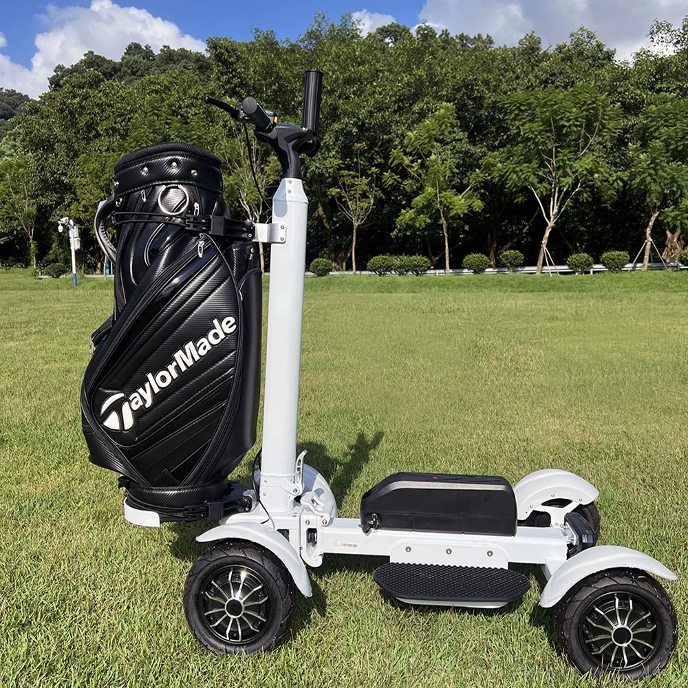 Loyal Electric Four-Wheel Golf Cart Buggy with Solar Power Intelligent GPS Foldable Design Waterproof Features