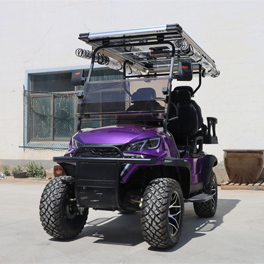 Solar Panels Golf Cart Customization Factory Direct Saleupgrade Golf Buggy Electric Golf Cart