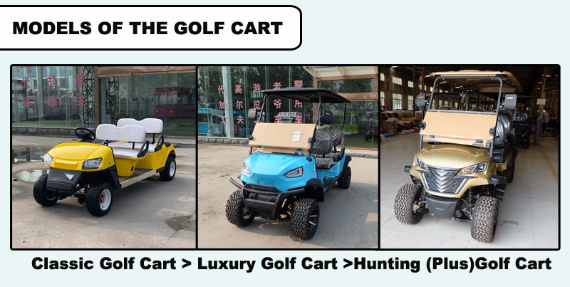 6 Seater Golf Cart Electric Golf Cart Support Customized Lithium Battery Support ODM OEM Color Can Be Customized