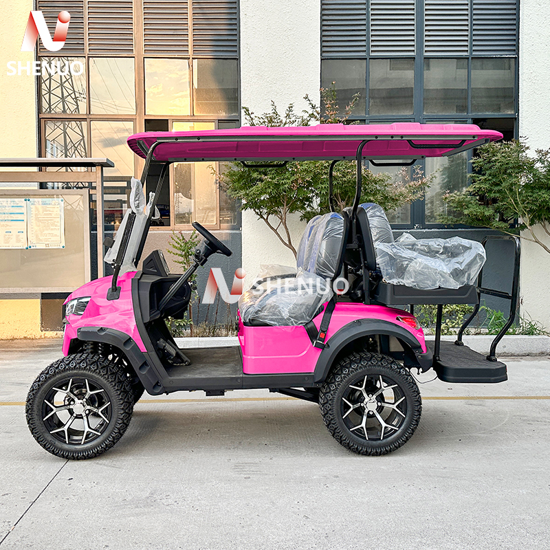 Golf Cart Gasoline 4 Stroke Engine Multi-Power Course Vehicles Resorts Mobility OEM Solution CE/ECE Certified 90km Range 30km/h
