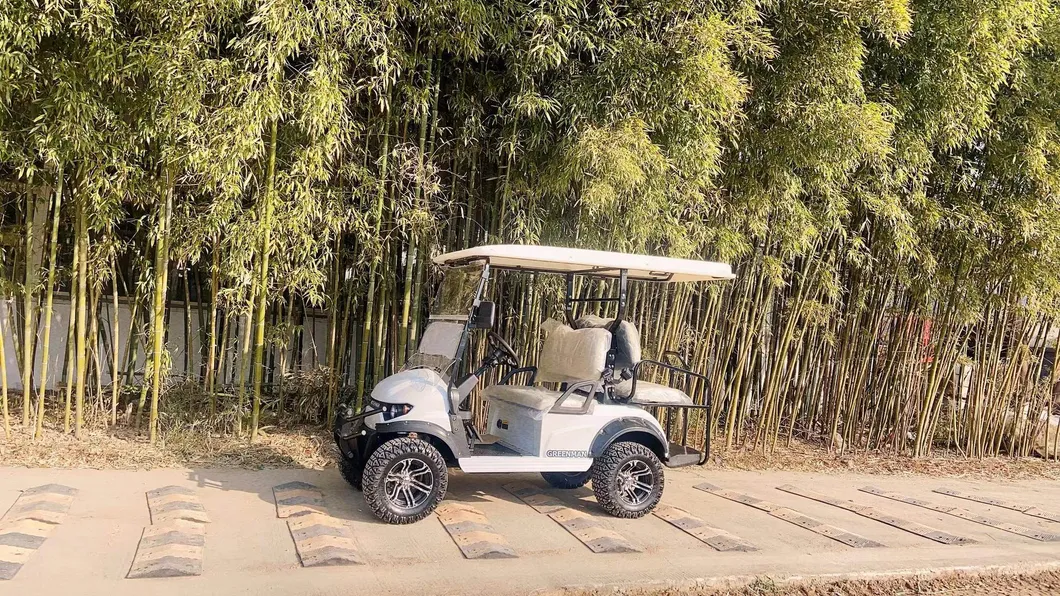 Golf Cart View 4