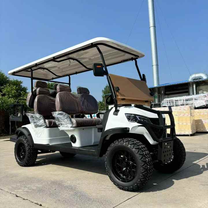 Electric Golf Cart