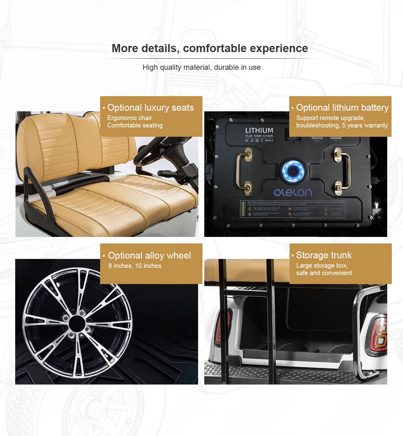 Street Legal 6+2 Seats Electric Golf Cart for Community Transportation