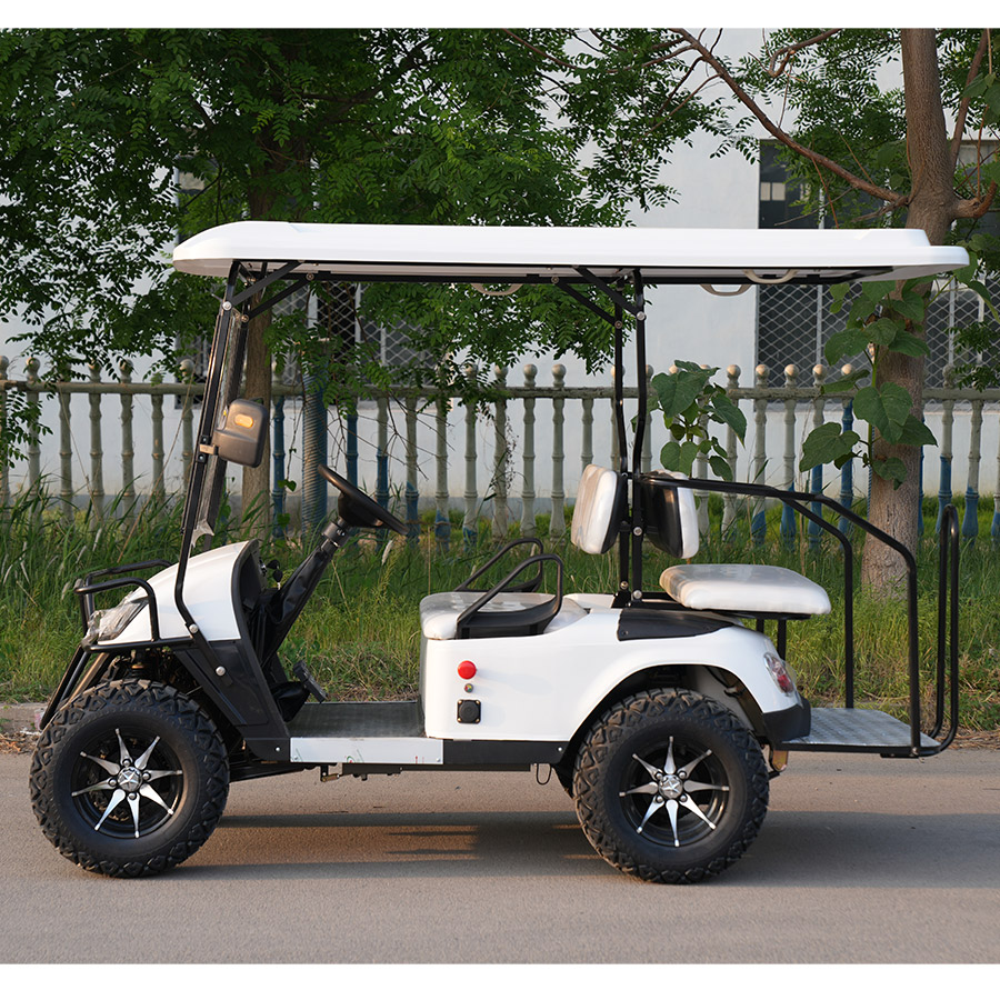 Wholesale 2 Seater Mini Electric Golf Buggy Car Golf Cart for Hotels and Airports