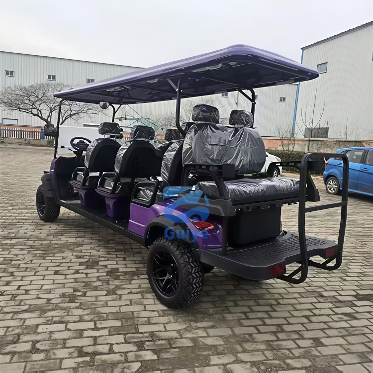 Manufacturers Customisable User Friendly Versatile Golf Cart Quiet Electric Operation Electric Golf Cart for Airports and Resort
