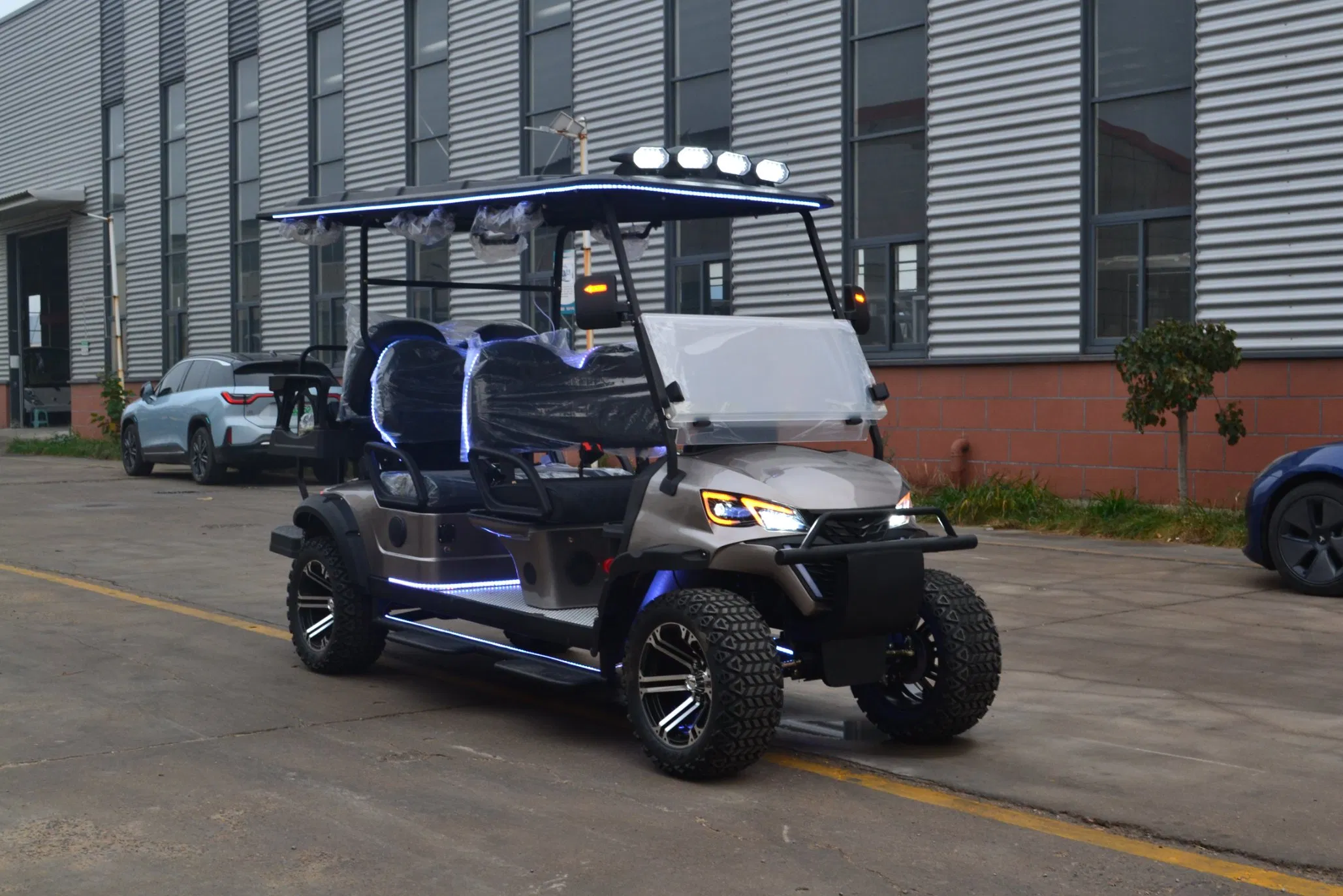 6-Seaters Golf Cart with Speed Governor for Community