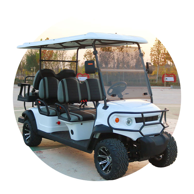 Electric Golf Cart with Rear Seat for Golf Course and Community