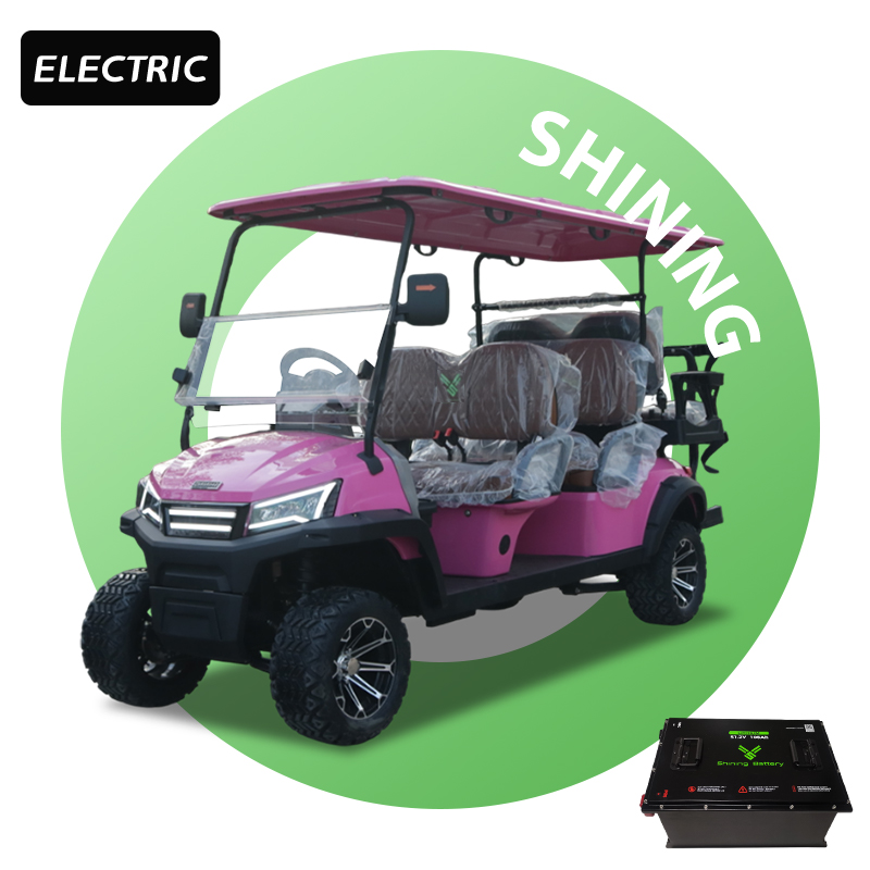 Shininglsv Electric 48V 6 Seater Golf Cart with Lithium Battery CE Certified for Holiday Resort &amp; Airport Use