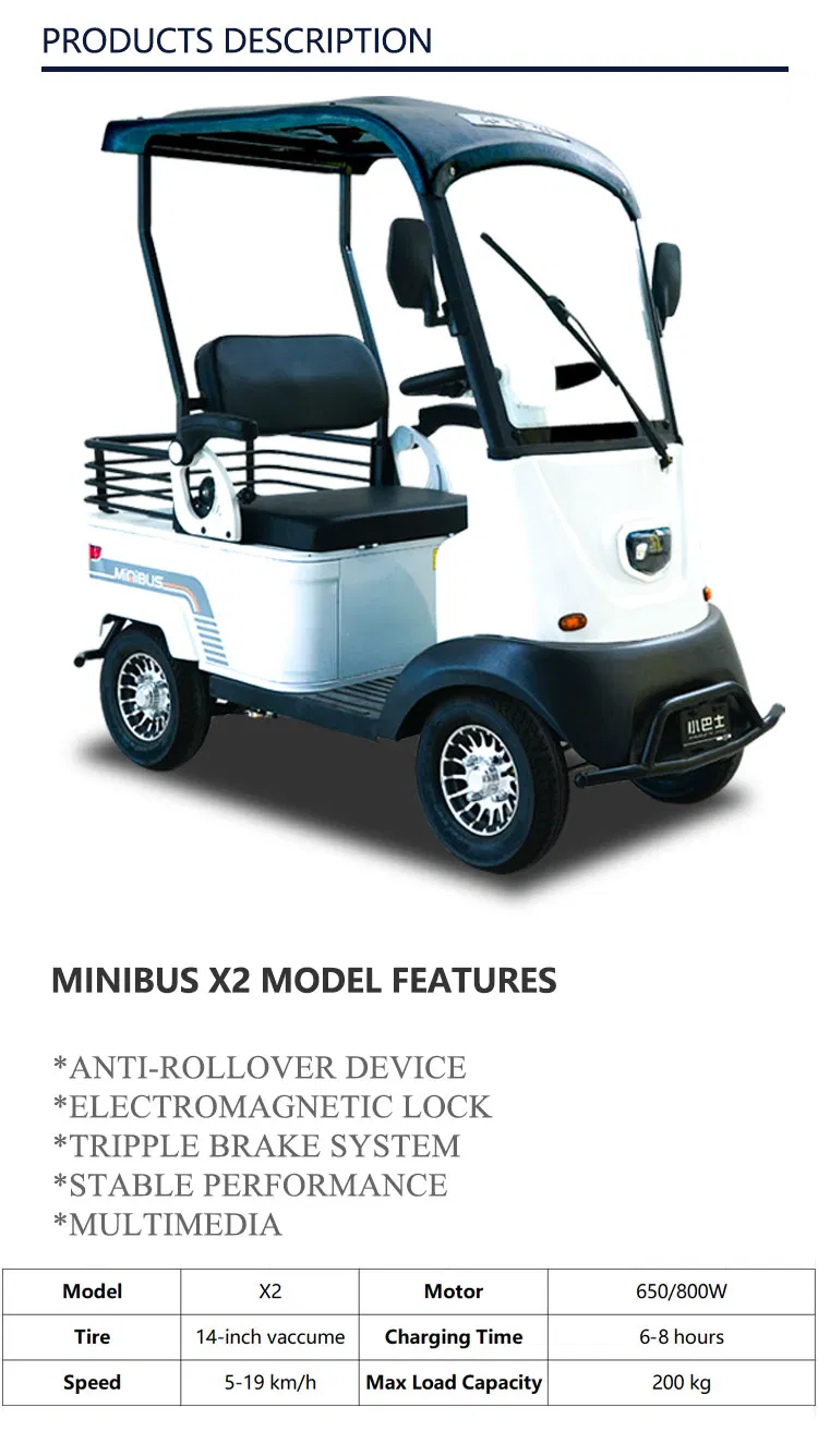 Electric Golf Cart View 2