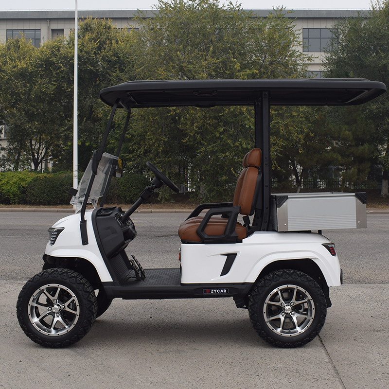 Golf Cart Electric 2 Seater Price Chinese Electric Golf Carts for Sale Passenger Golf Carts