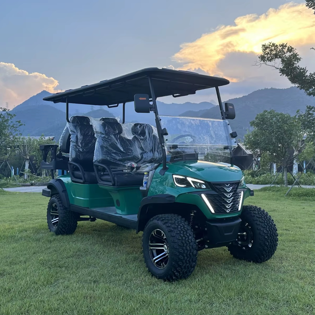 Lithium Battery 4KW Best Electric Off-road 1&ndash;2-Seater Golf Cart/Golf Buggy System Cheap Price Metal Steel Plastic Hunting