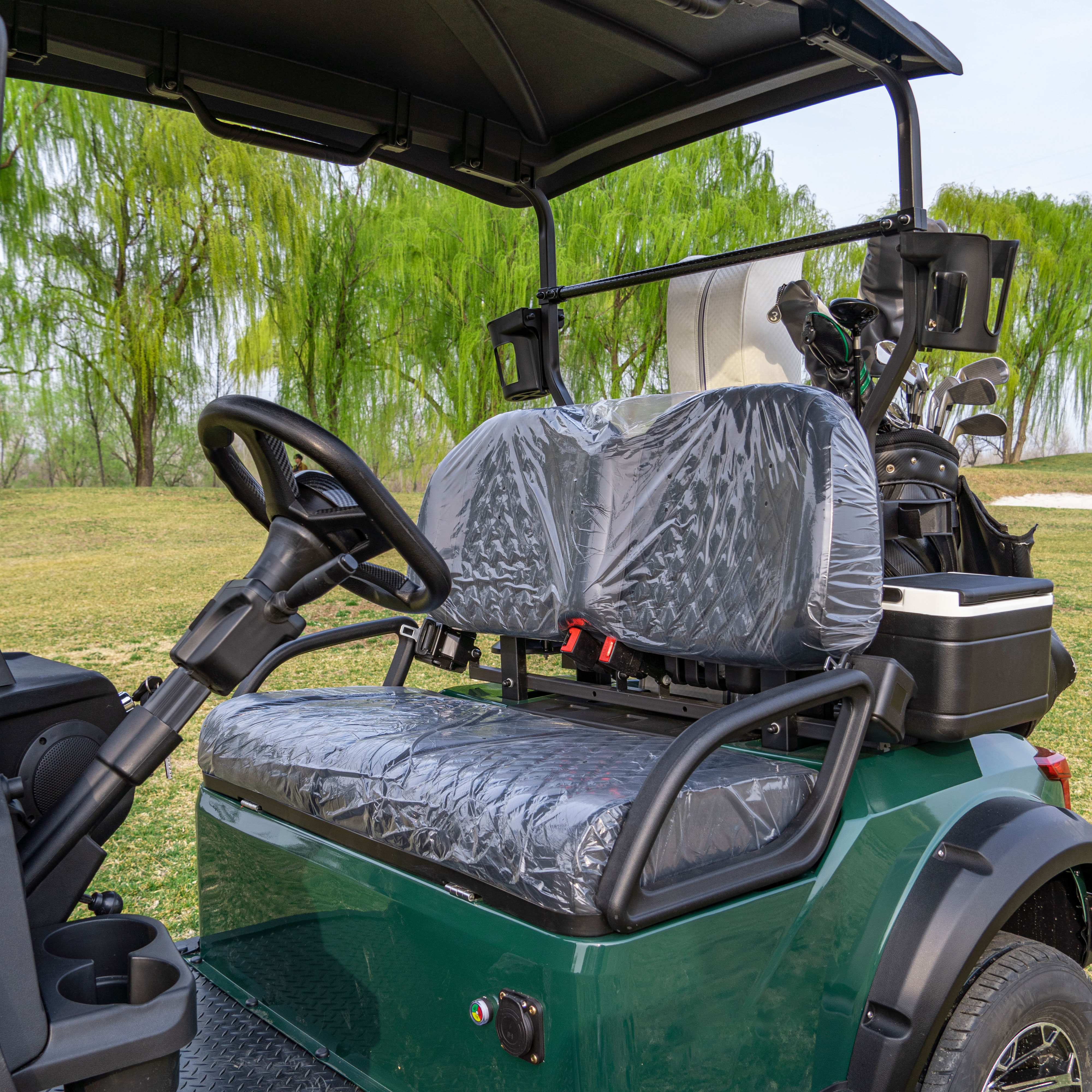 Wholesale Cheap Price Electric Golf Cart 2 Seater Custom Color Logo Electric Golf Cart for Tourist Attraction Campus Park