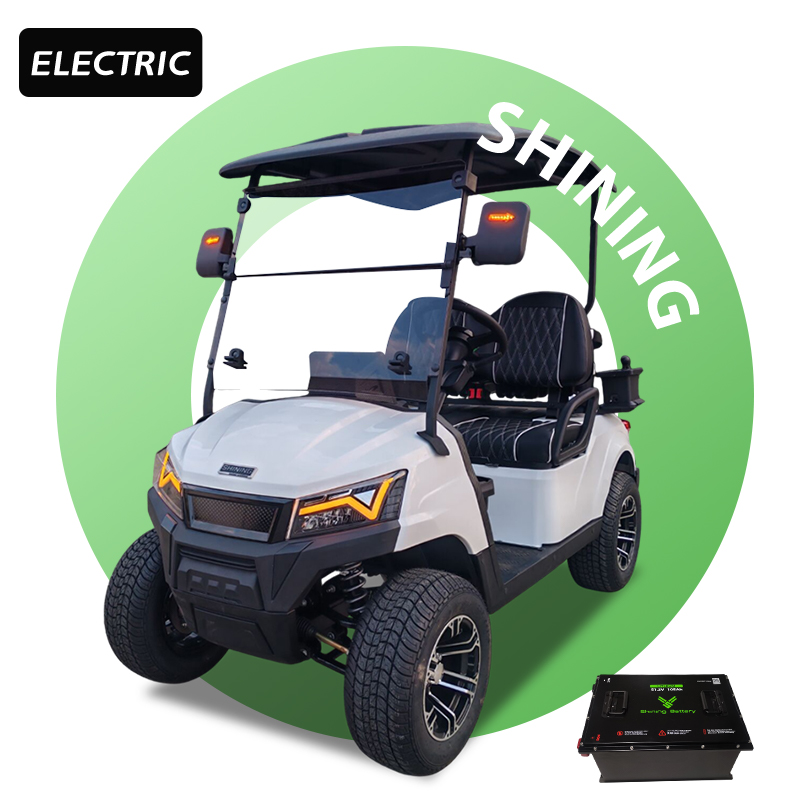Shininglsv Electric 2-Seater Golf Carts Electric Lithium Electric Golf Cart for Sale