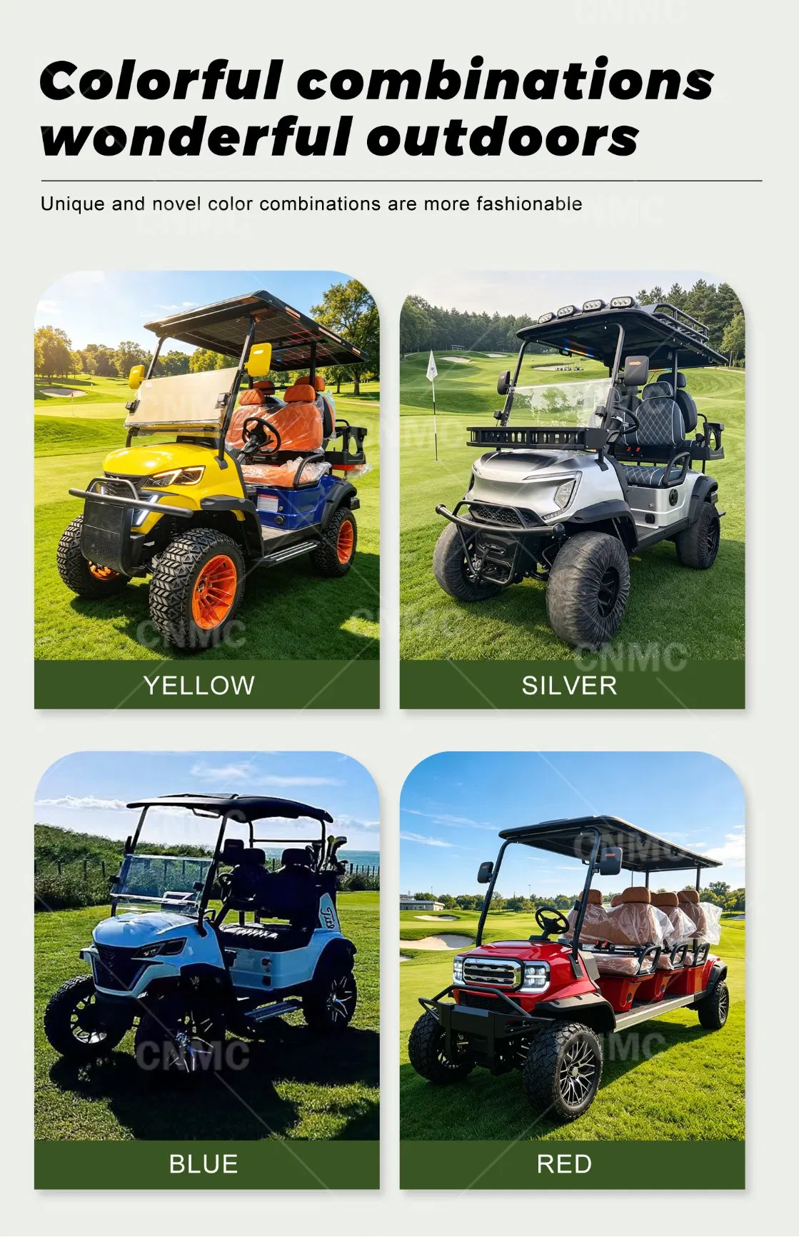 Golf Cart Feature Details 3