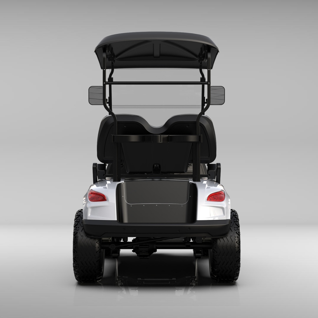Electric Golf Cart 2 Seater for Campus Shuttle Resort Transportation and Private Community