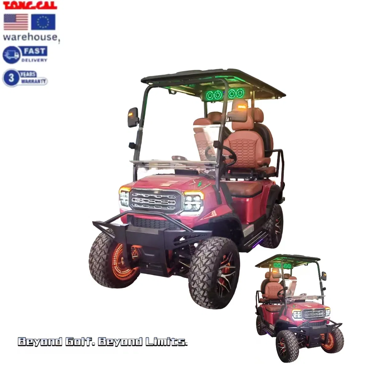 Tongcai 2 Seater Heavy Duty Golf Cart for Industrial Use