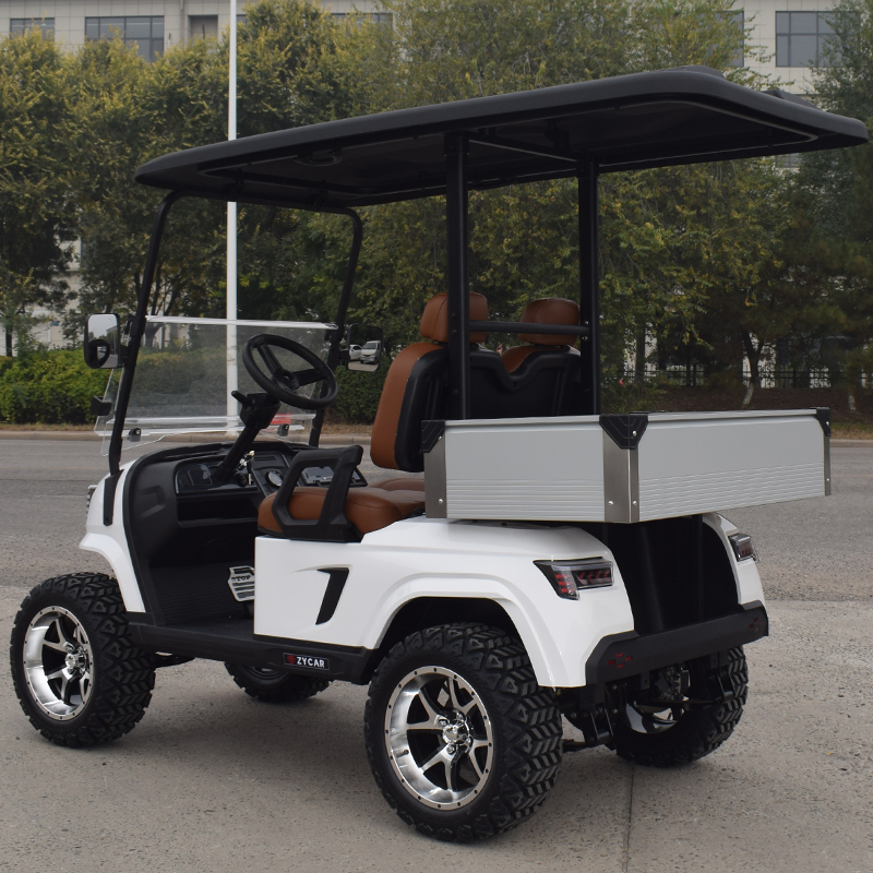 Golf Cart Electric 2 Seater Price Chinese Electric Golf Carts for Sale Passenger Golf Carts