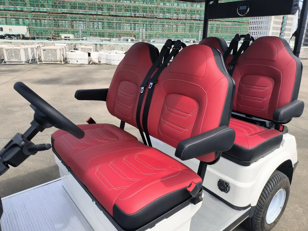 Premium Seats Back View