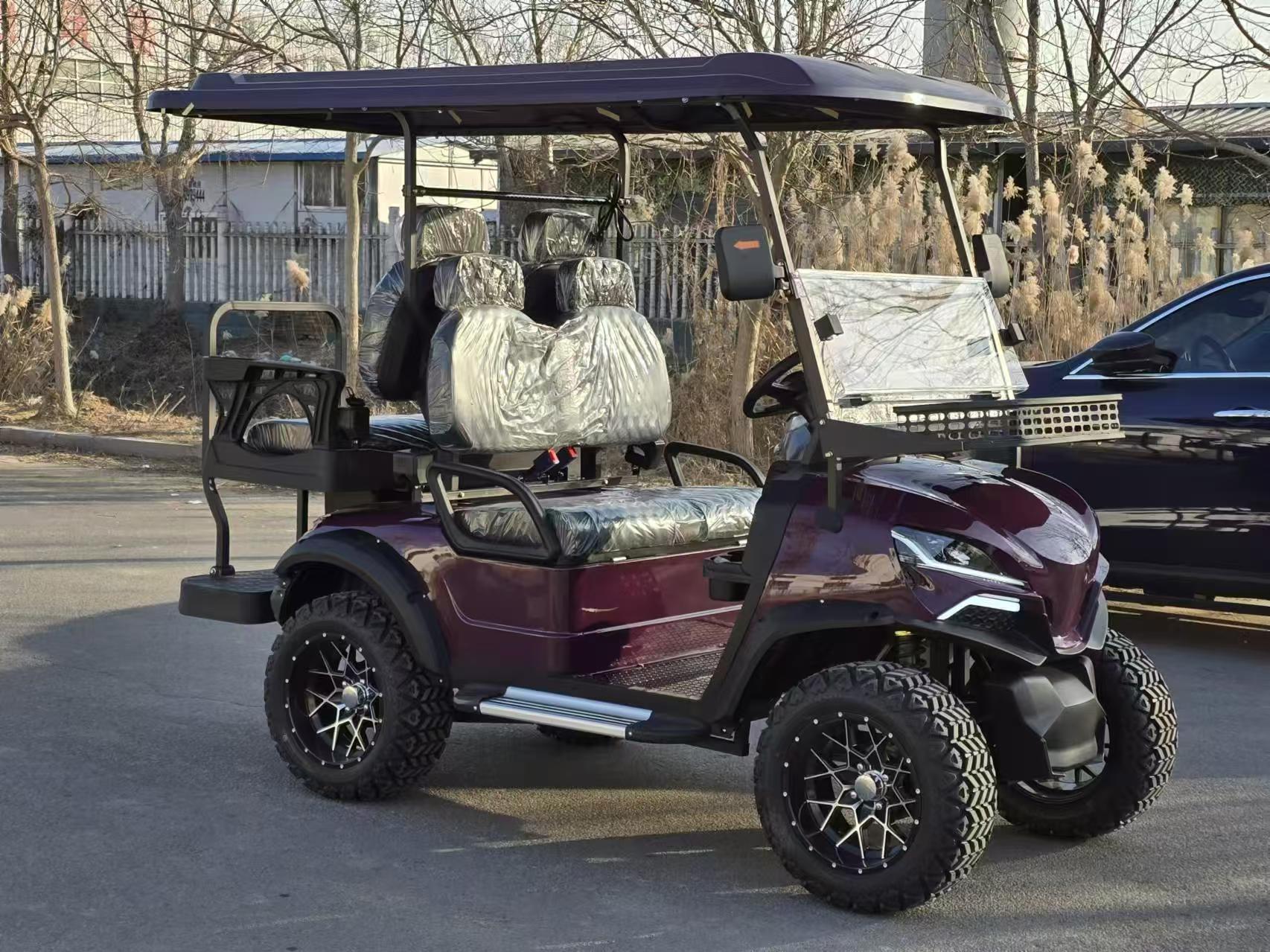 Shandong Factory Price 2 Seat 4 Seater 6 Seat 8 Seat Electric Golf Cart For Sales