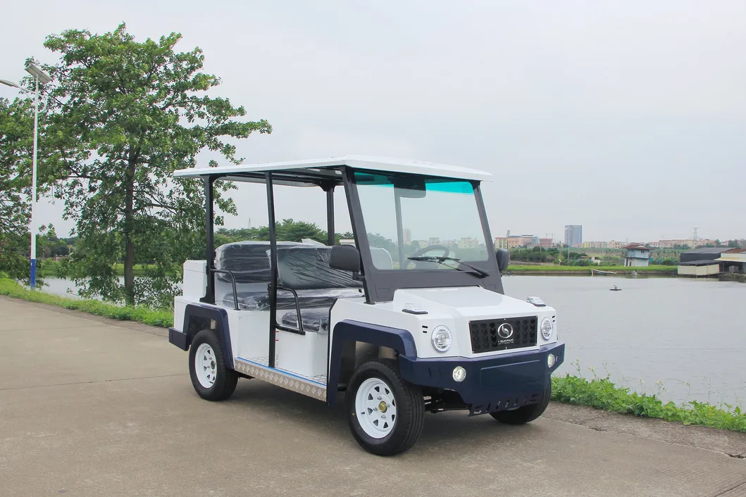 Electric Golf Cart