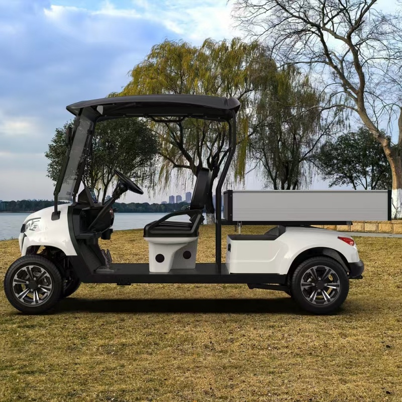 Electric Utility Vehicle Lithium Power Unit