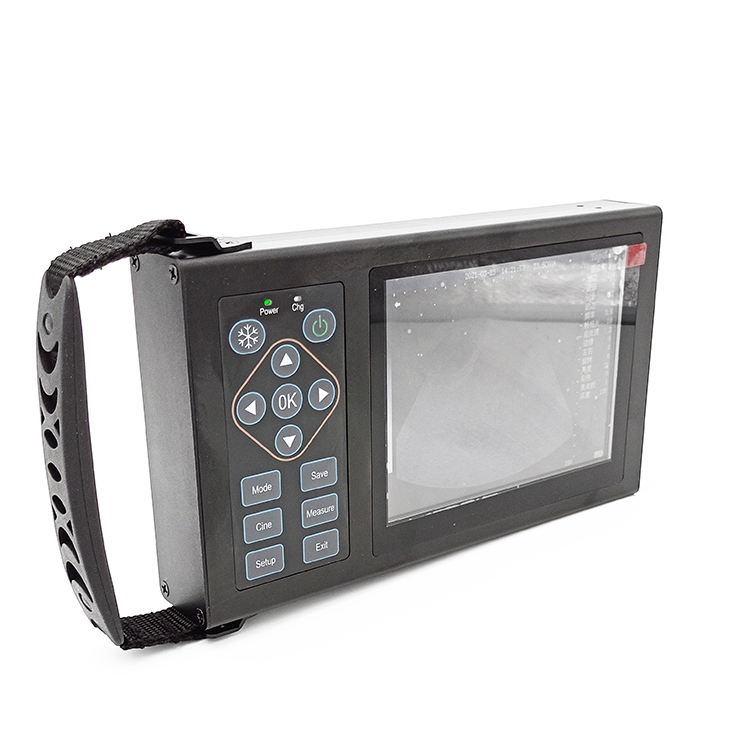 Mt-Medical Veterinary Handheld Ultrasound Scanner Laptop Digital Ultrasonic Pregnancy Diagnostic Therapy Ultrasound Machine