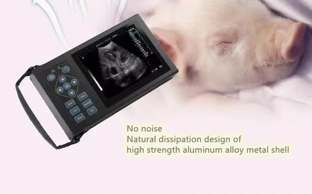 Ultrasound Scanner View 4