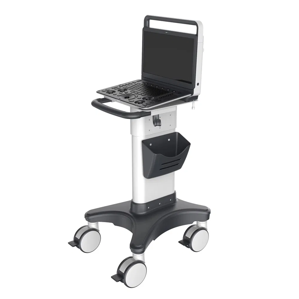 Portable Full Digital Diagnosis Color Doppler Ultrasound System