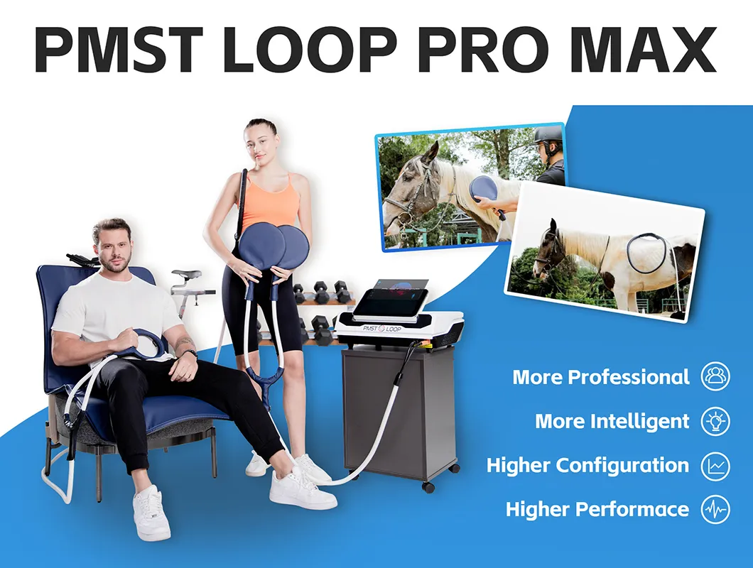 Loop Application View