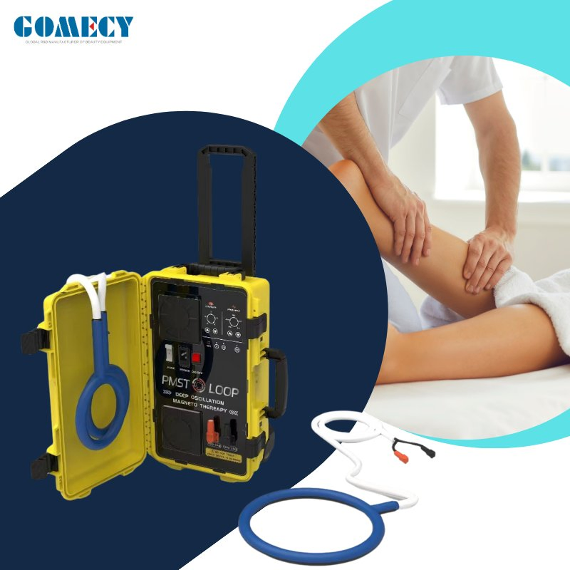 Portable Electromagnetic Therapy Device with Multifrequency Programs for Physiotherapy and Wellness