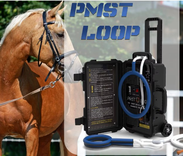 Pemf Vet Magnetic Pulse Pemf Therapy Device for Vet Pain Relief