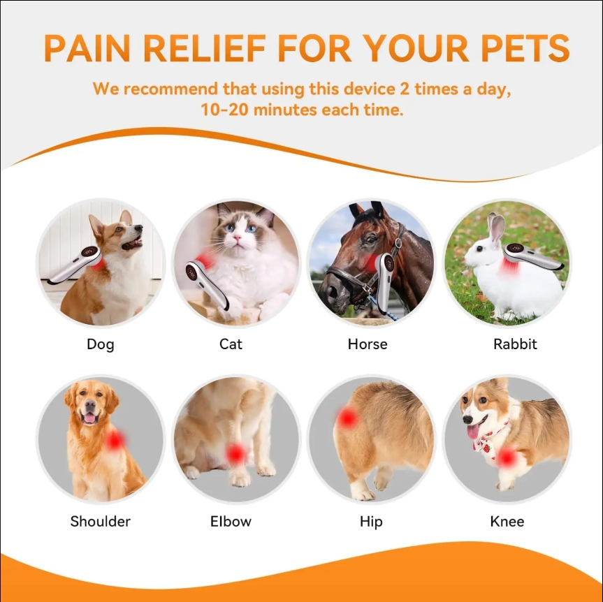Infrared Therapy Device for Pets: Healing Light for Wounded Friends