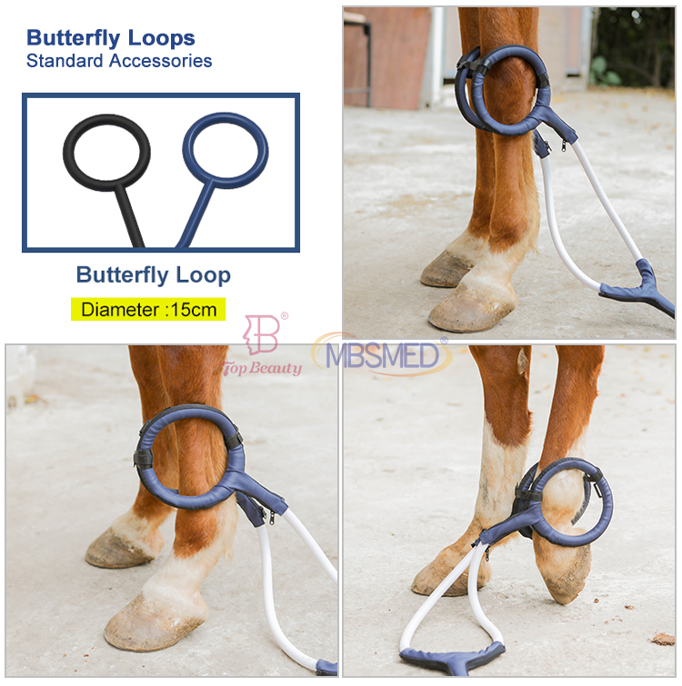 Horse Farm Animal Pet Pain Therapy Health Care Pmst Loop Electromagnetic Pulse Generator Magnetic Therapy Device