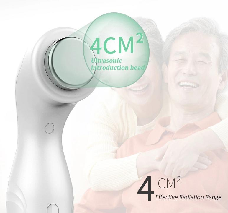 Portable Handheld Ultrasound Therapy/Physiotherapy Pain-Relieving Massager Device Pw-5X