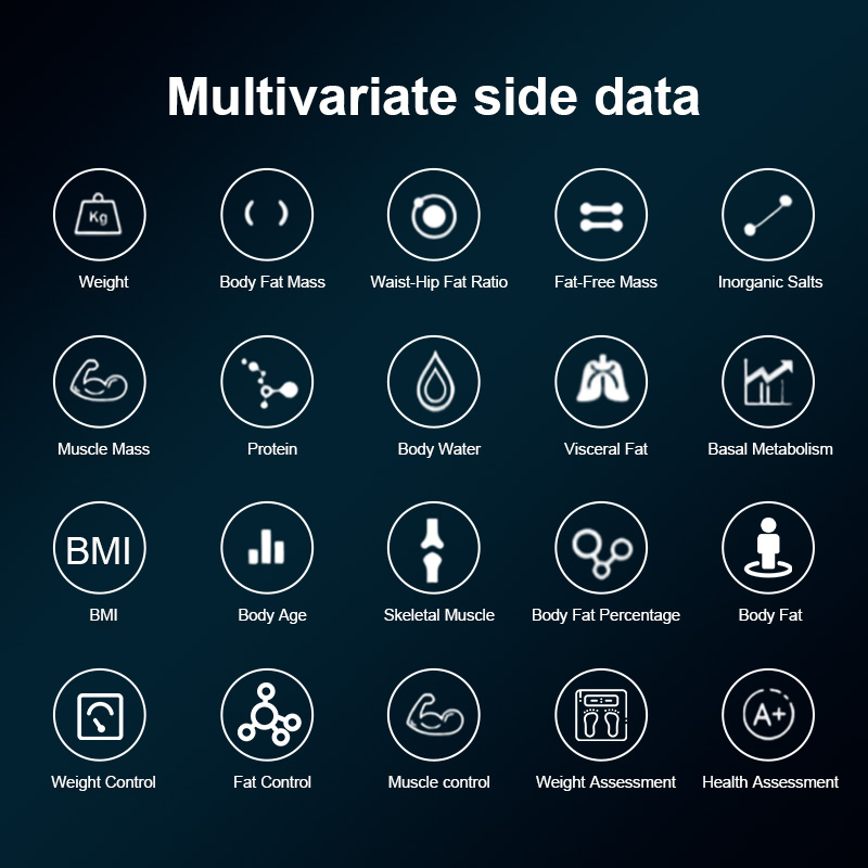 Professional Body Composition Analyzer for Gym and Home Use