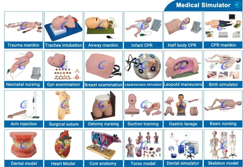 Skills Training Details